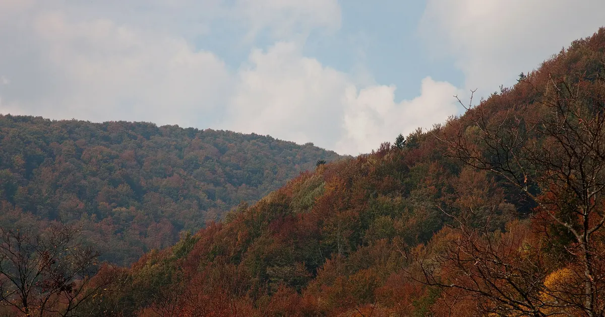秋のビェシュチャディ地方の山(イメージ)